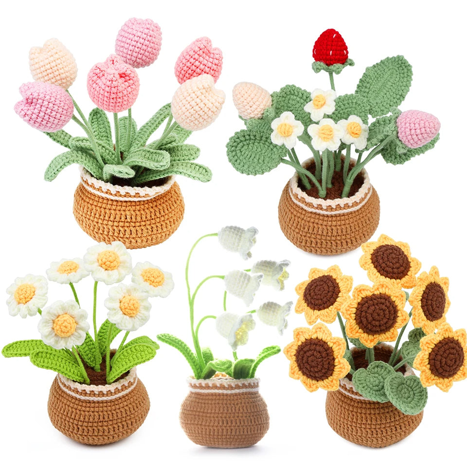 Potted Flowers DIY Crochet Kit - Variety 1