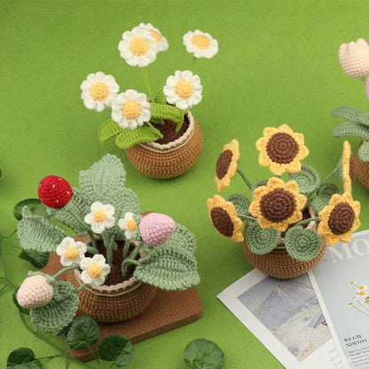 Potted Flowers DIY Crochet Kit - Variety 1