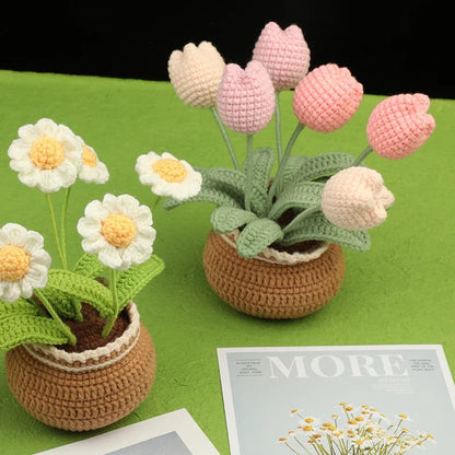 Potted Flowers DIY Crochet Kit - Variety 1