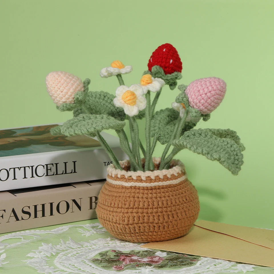 Potted Flowers DIY Crochet Kit - Variety 1