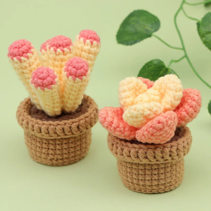 Cactus DIY Crochet Kit