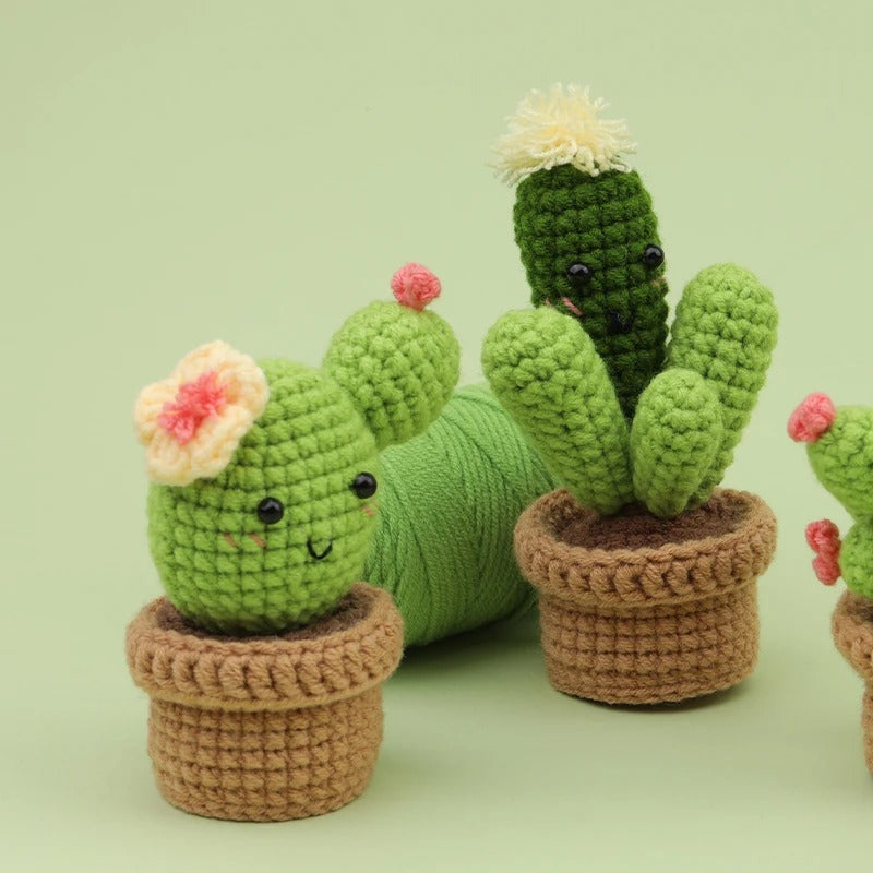 Cactus DIY Crochet Kit