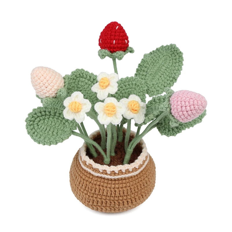 Potted Flowers DIY Crochet Kit - Variety 1