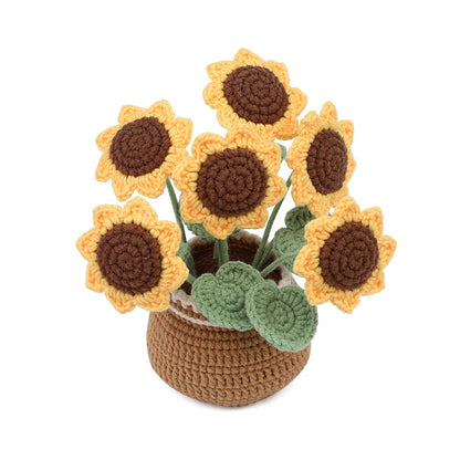 Potted Flowers DIY Crochet Kit - Variety 1